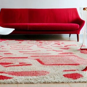 what-color-carpet-goes-with-red-sofa