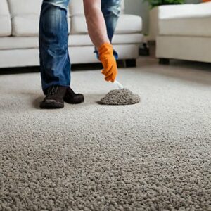 How Long Does It Take to Deodorize Carpet? 