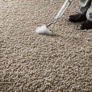 how-long-does-it-take-for-carpet-to-stop-smelling
