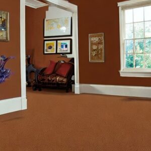 What Color Paint Goes with Brown Carpet?
