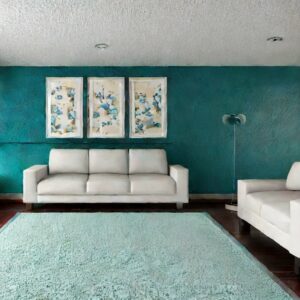 What Color Paint Goes with Teal Carpet?