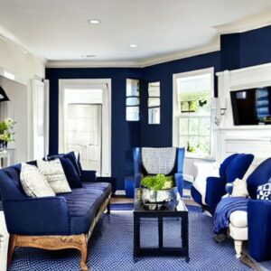 What Color Paint Goes With Navy Blue Carpet?