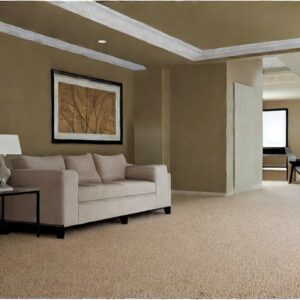 what-color-paint-goes-with-light-brown-carpet